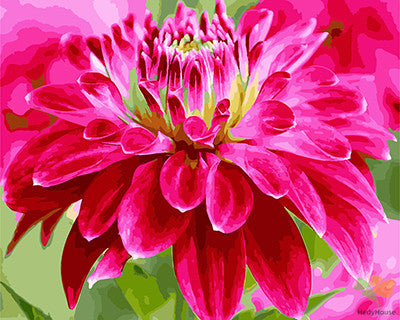 Flower Paint By Numbers Kits UK GX28980