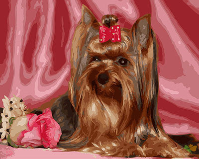 Cat & Dog Paint By Numbers Kits UK GX29042