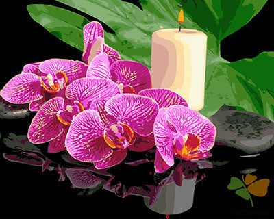 Flower Paint By Numbers Kits UK GX29058