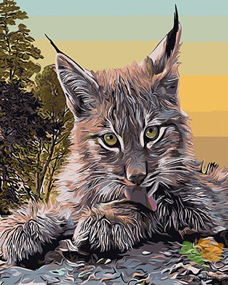 Cat & Dog Paint By Numbers Kits UK GX29080