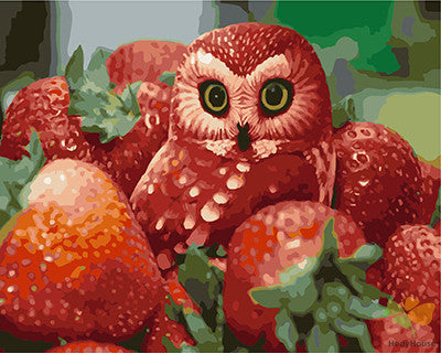 Still Life Paint By Numbers Kits UK GX29085