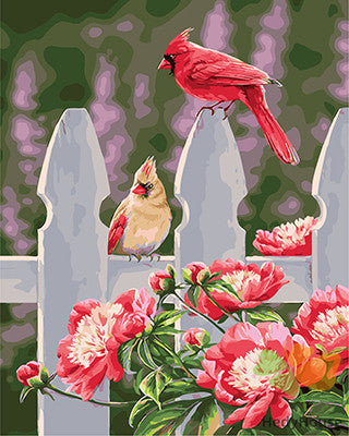 Birds Paint By Numbers Kits UK GX29108