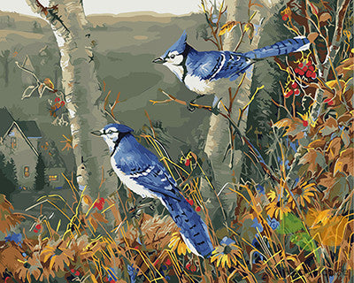 Birds Paint By Numbers Kits UK GX29112