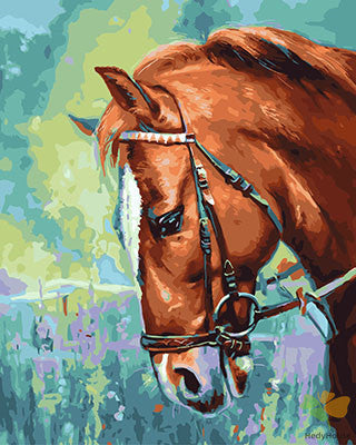 Animal Paint By Numbers Kits UK GX29135