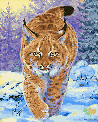 Animal Paint By Numbers Kits UK GX29252