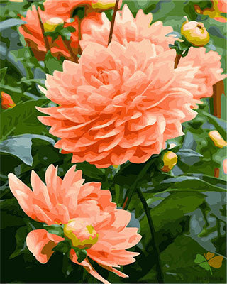 Flower Paint By Numbers Kits UK GX29318