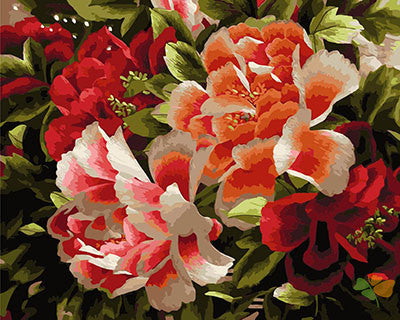 Flower Paint By Numbers Kits UK GX29319