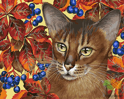 Cat & Dog Paint By Numbers Kits UK GX29320