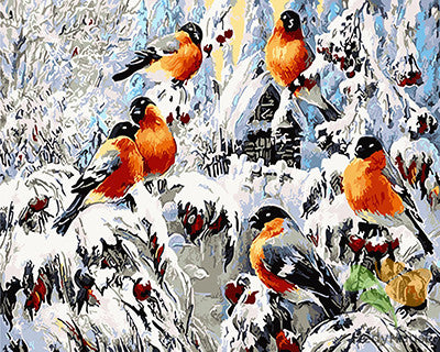 Birds Paint By Numbers Kits UK GX29396