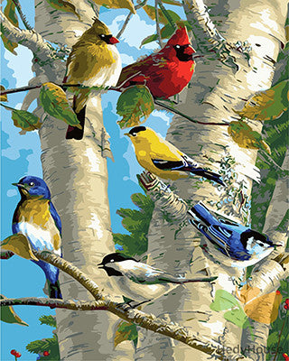 Birds Paint By Numbers Kits UK GX29398