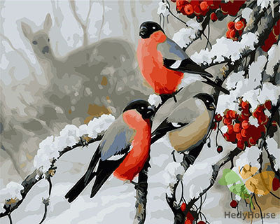 Birds Paint By Numbers Kits UK GX29465