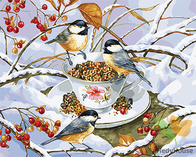 Birds Paint By Numbers Kits UK GX29499