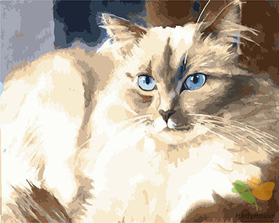 Cat & Dog Paint By Numbers Kits UK GX29502