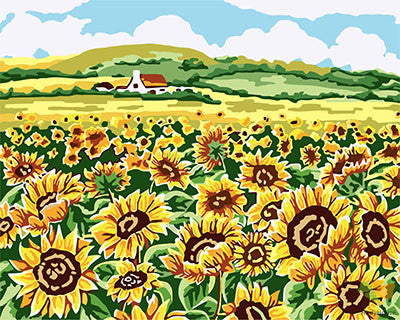 Flower Paint By Numbers Kits UK GX29529