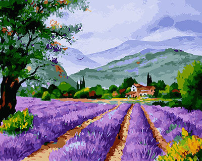 Flower Paint By Numbers Kits UK GX29542