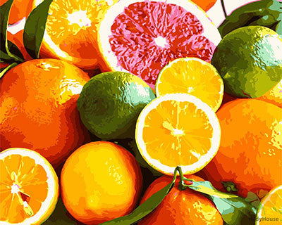 Still Life Paint By Numbers Kits UK GX29619