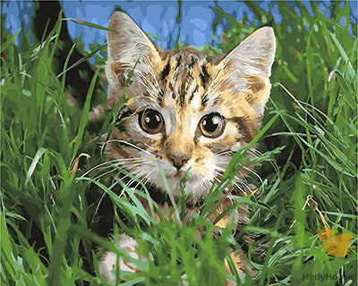 Cat & Dog Paint By Numbers Kits UK GX29634