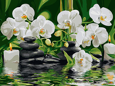 Flower Paint By Numbers Kits UK GX29693