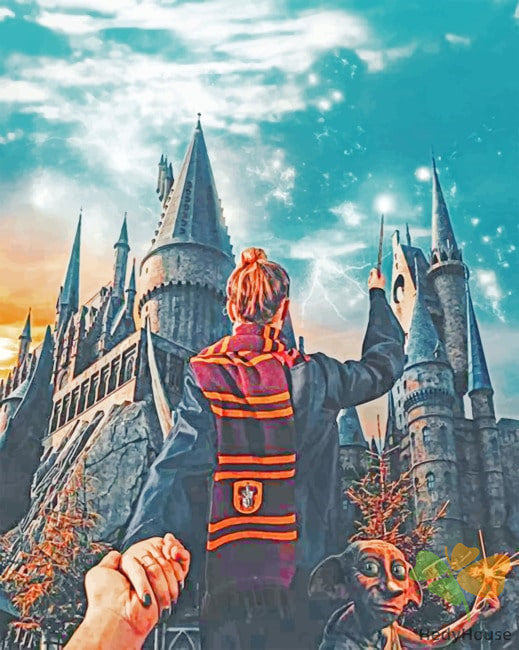 Movie Paint By Numbers Kits UK HPH1802