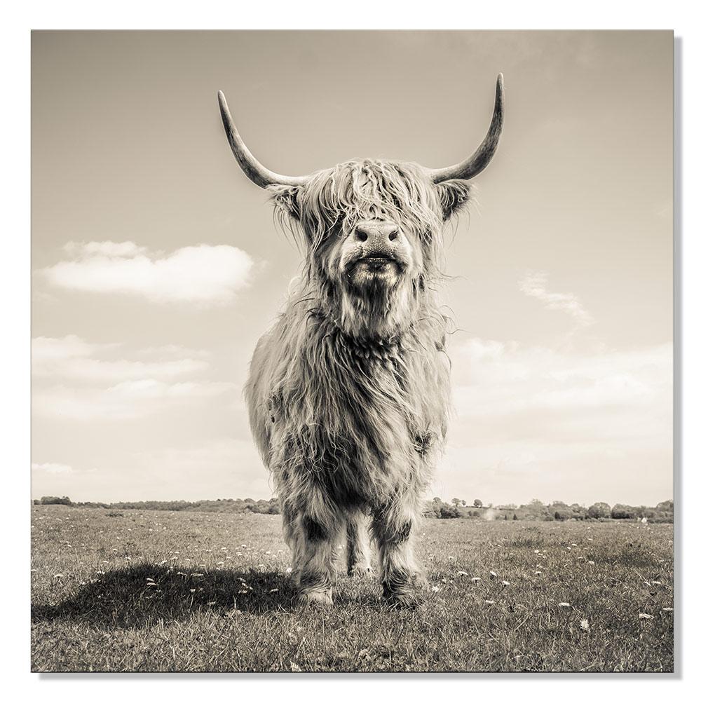 Animal Cow Paint By Numbers Kits UK For Adult HQD1277