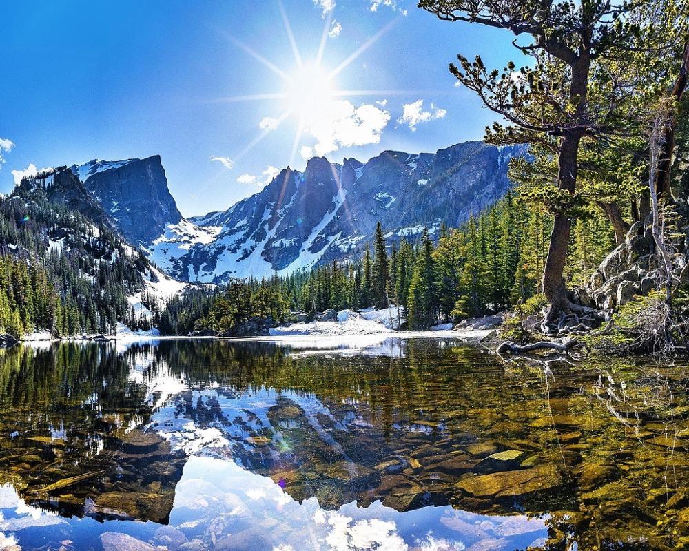 Natural Paint By Numbers Kits UK For Adult HQD1296