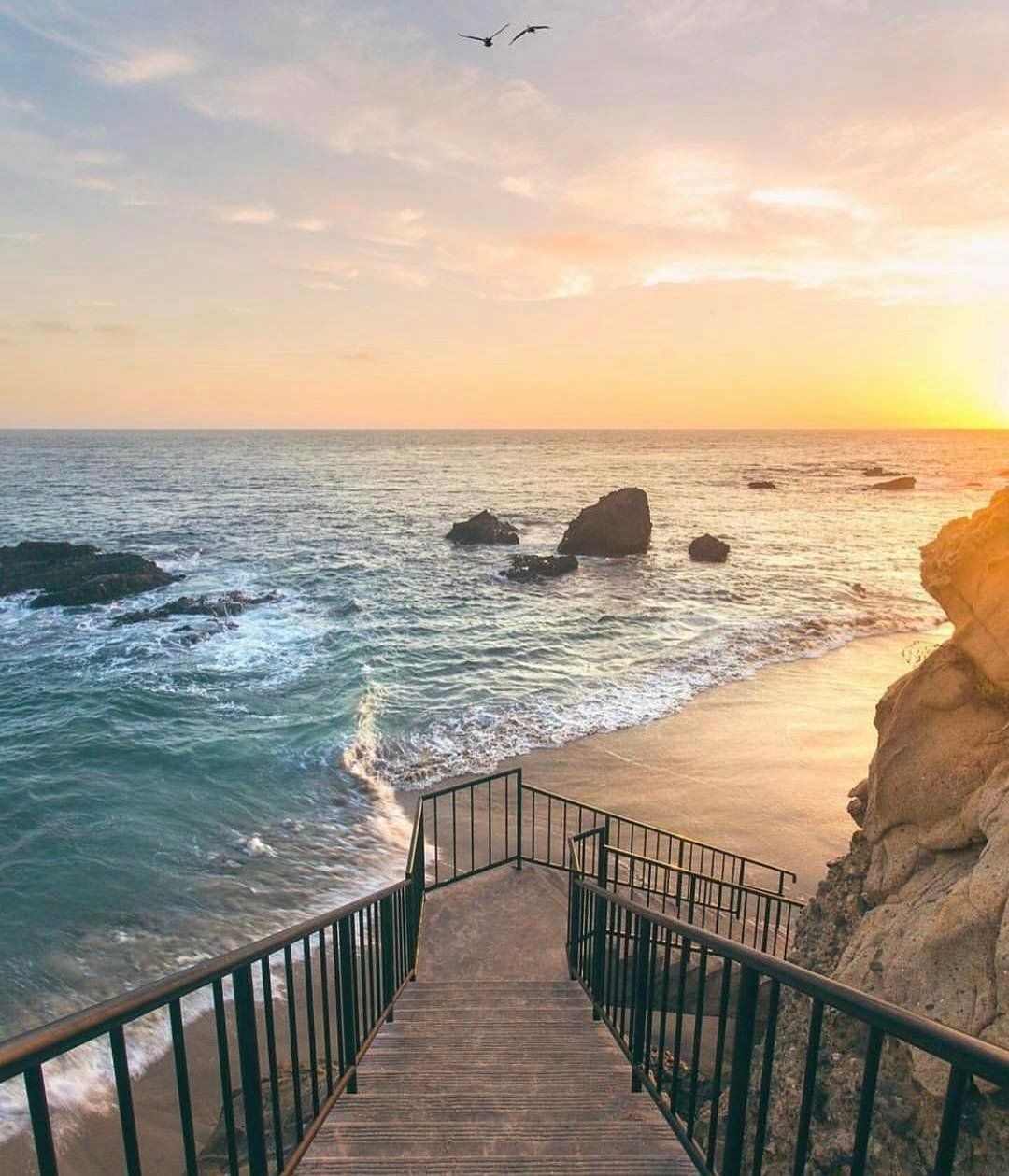 Natural Paint By Numbers Kits UK For Adult HQD1305