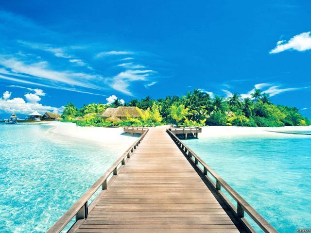 Natural Paint By Numbers Kits UK For Adult HQD1307