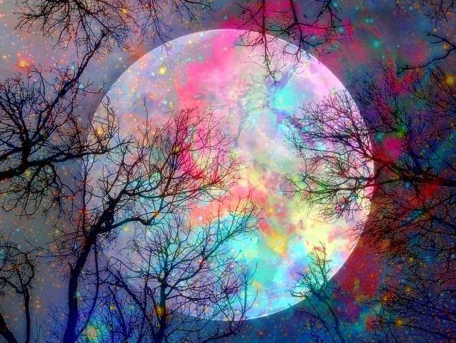 Natural Paint By Numbers Kits UK For Adult HQD1310