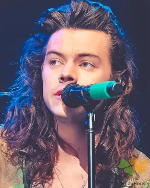 Portrait Paint By Numbers Kits UK HS8534