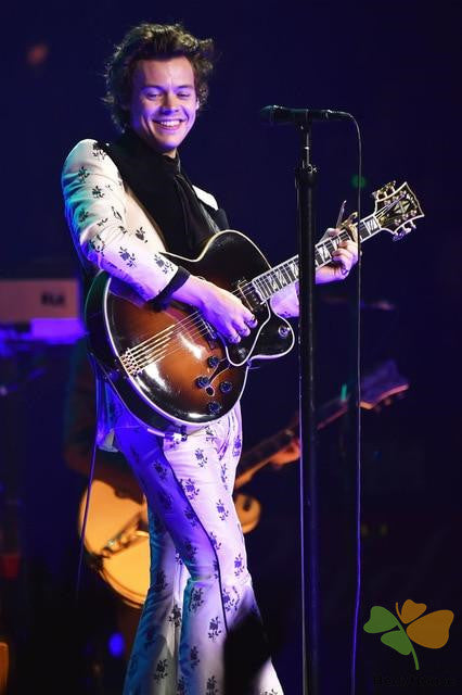 Portrait Paint By Numbers Kits UK HS8536