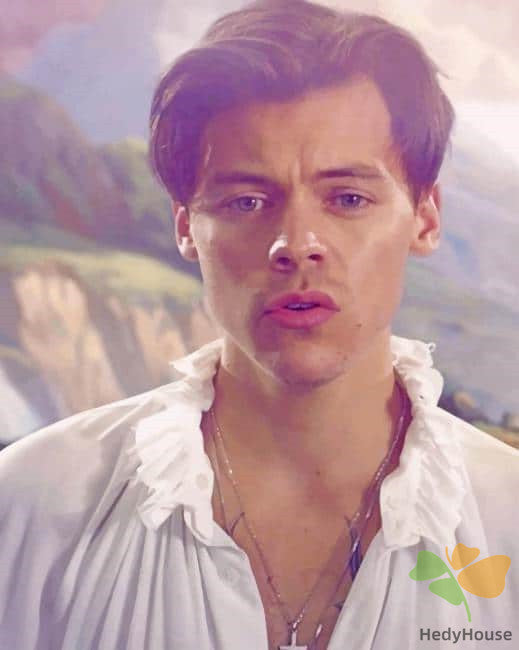 Portrait Paint By Numbers Kits UK HS8538