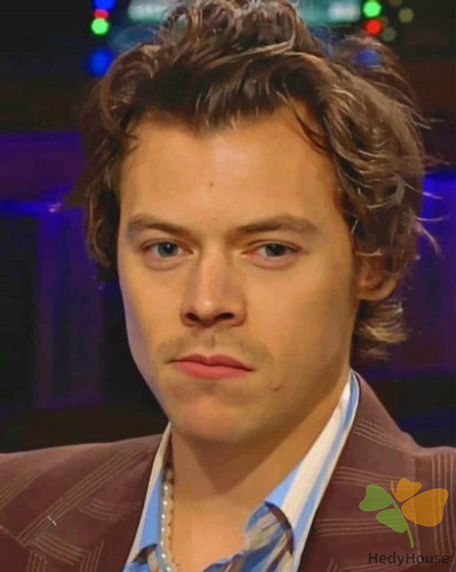 Portrait Paint By Numbers Kits UK HS8541