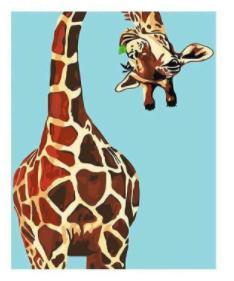 Animal Paint By Numbers Kits UK For Adult JW1829