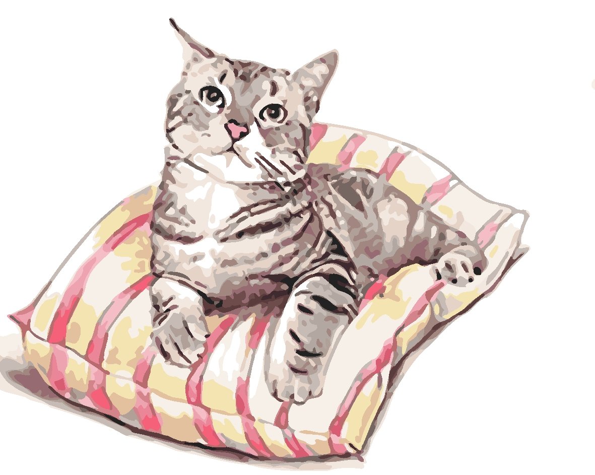 Cat & Dog Paint By Numbers Kits UK JW216