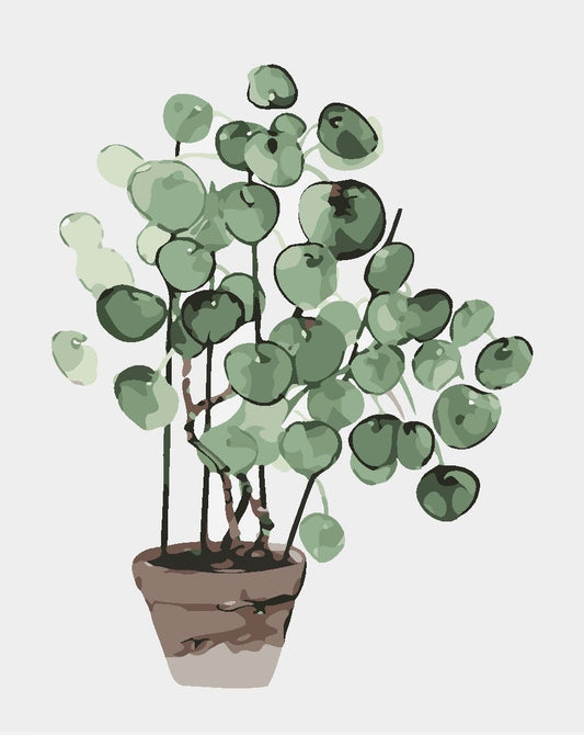 Flower Paint By Numbers Kits UK For Adult JW226