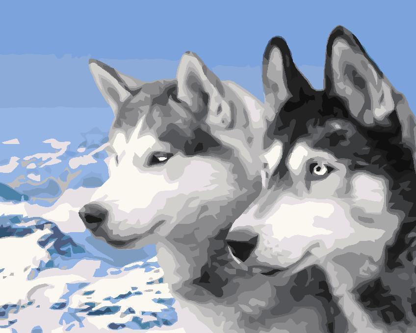 Animal Paint By Numbers Kits UK For Adult JW236