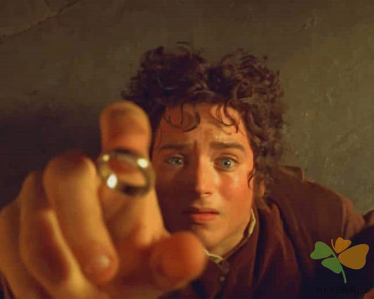 Movie Paint By Numbers Kits UK LOR5701