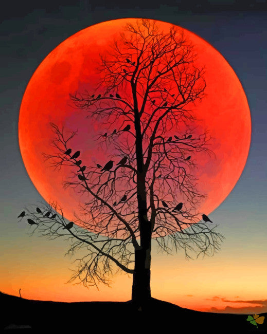 Landscape Paint By Numbers Kits UK MN1901