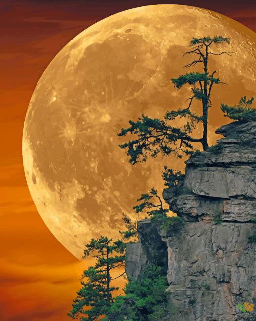 Landscape Paint By Numbers Kits UK MN1902