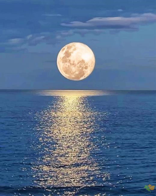 Landscape Paint By Numbers Kits UK MN1904