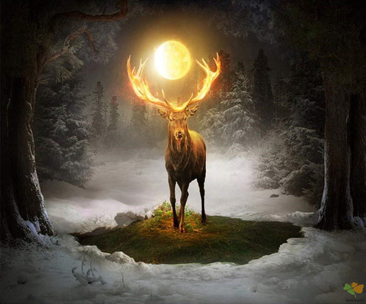 Landscape Paint By Numbers Kits UK MN1909