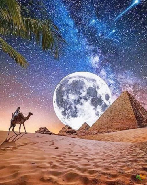 Landscape Paint By Numbers Kits UK MN1914