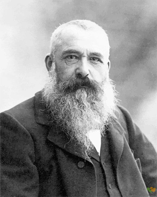 Classical Paint By Numbers Kits UK MON6501