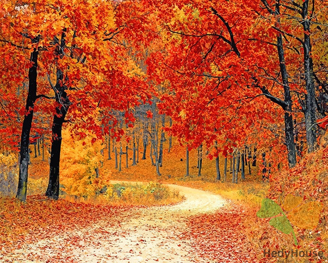 Nature Paint By Numbers Kits UK NAA8355