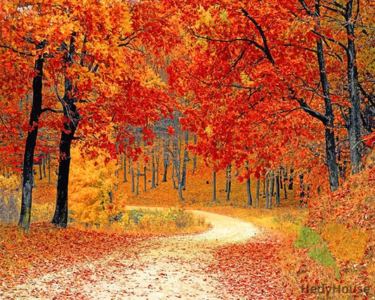 Nature Paint By Numbers Kits UK NAA8355