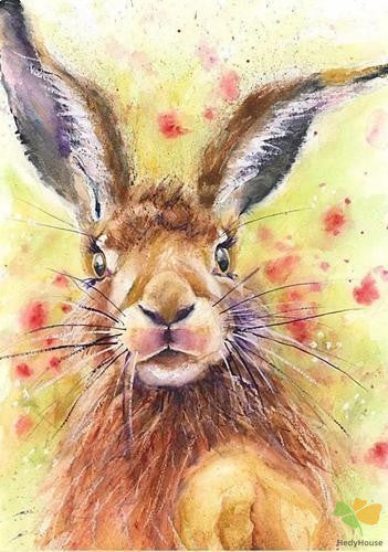Animal Paint By Numbers Kits UK NP1709