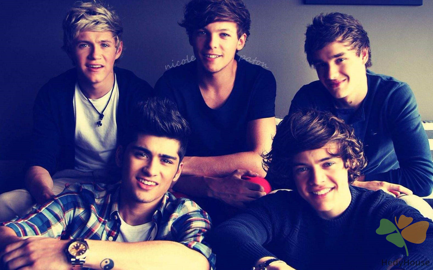 Portrait Paint By Numbers Kits UK OD9766