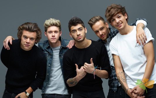 Portrait Paint By Numbers Kits UK OD9767