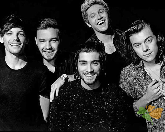 Portrait Paint By Numbers Kits UK OD9769