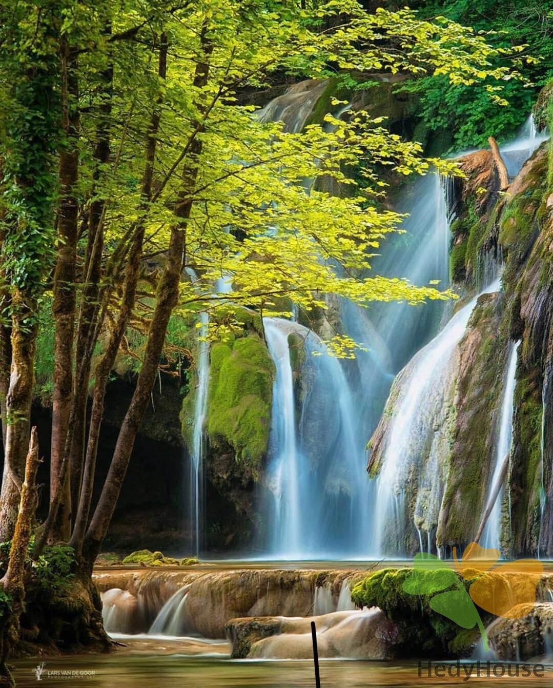 Nature Paint By Numbers Kits UK OTG6087